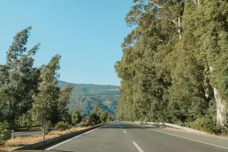 Οι αυτοκινητόδρομοι της Σλοβενίας και οι βασικές πληροφορίες για την αγορά βινιέτας για το 2025